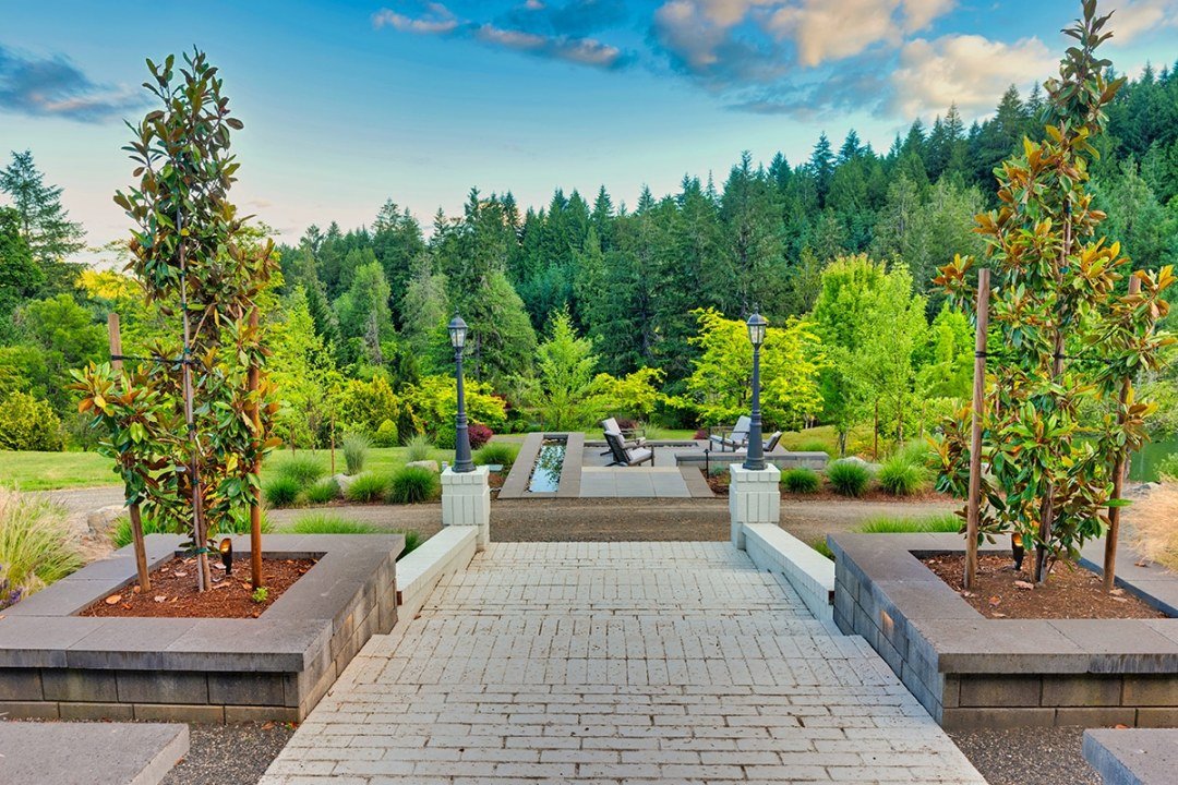 magnolia-trees-surrounding-entryway-in-front-yard-landscape