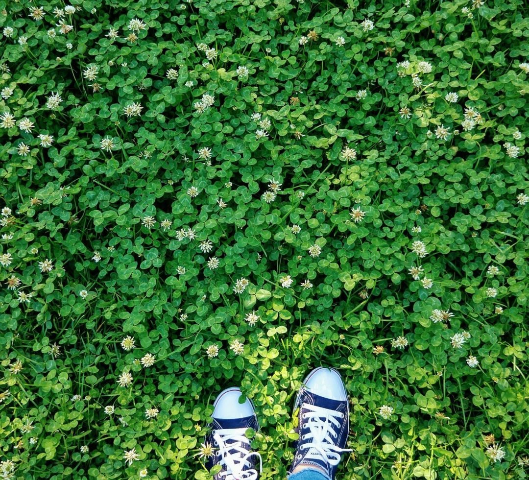 pexels-rabialogy-8611195