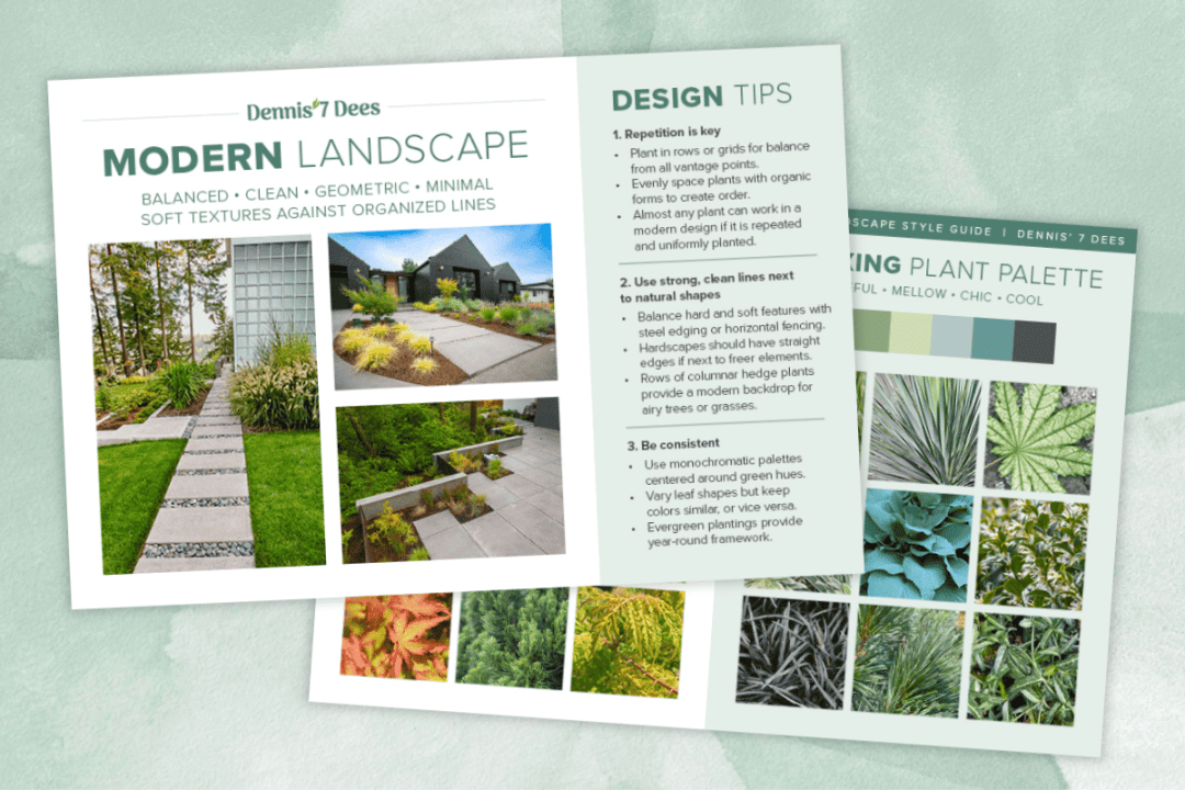 Modern Style Guide Preview