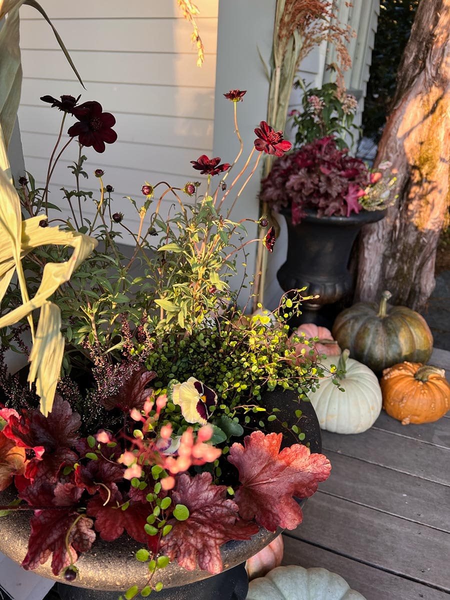 fall-porchscaping-2023_judith-8