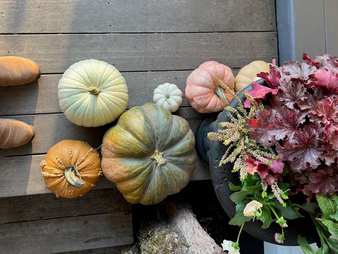 fall-porchscaping-2023_judith-9