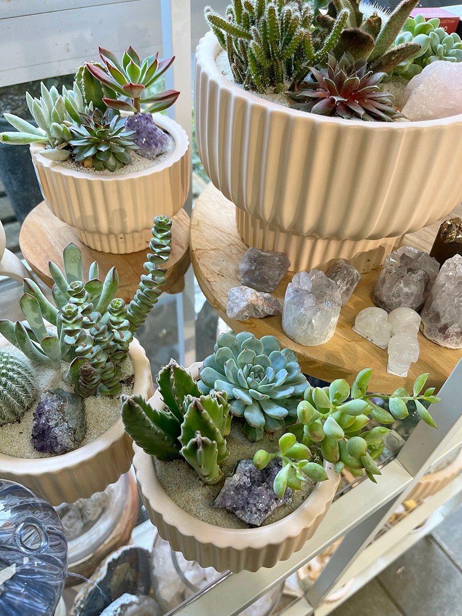 succulent-dish-gardens-4-gift-idea
