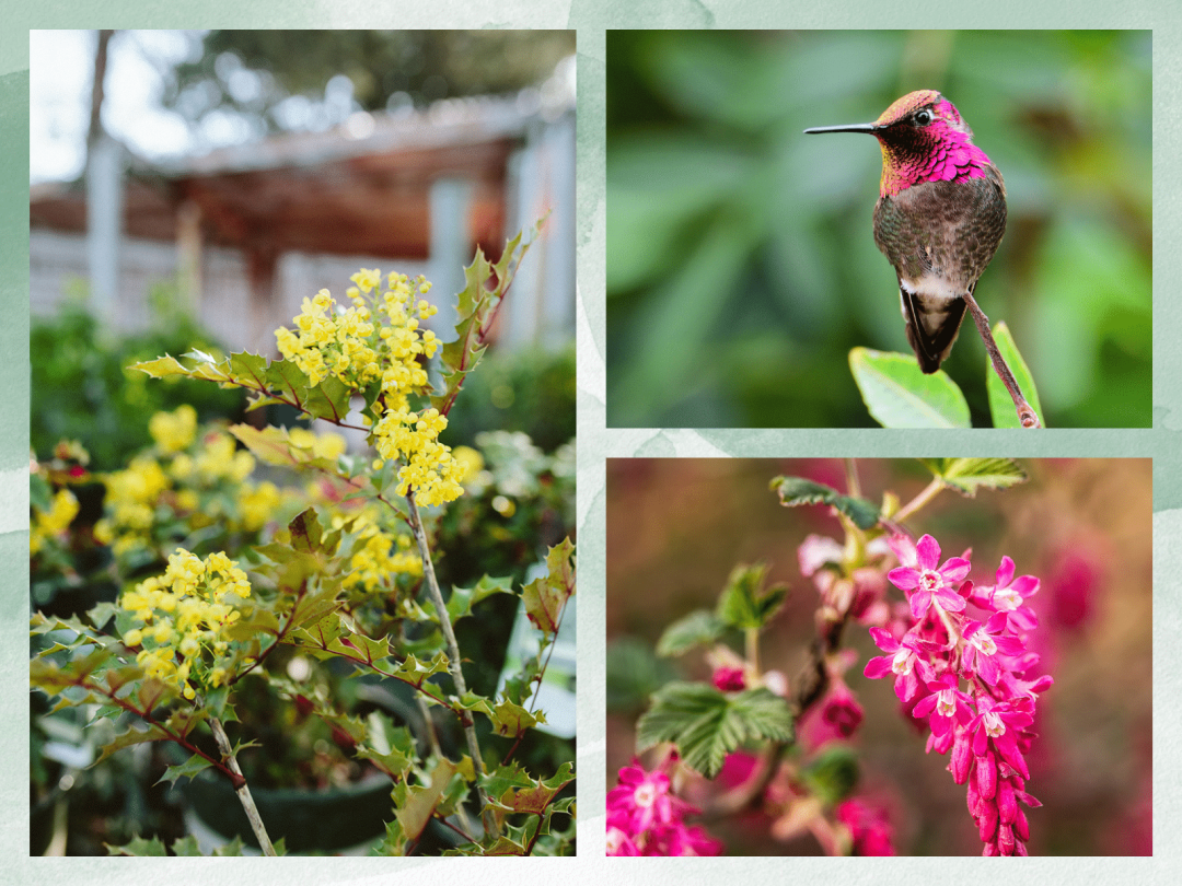 2024 Gardening Trends - Wildlife-Friendly Gardening
