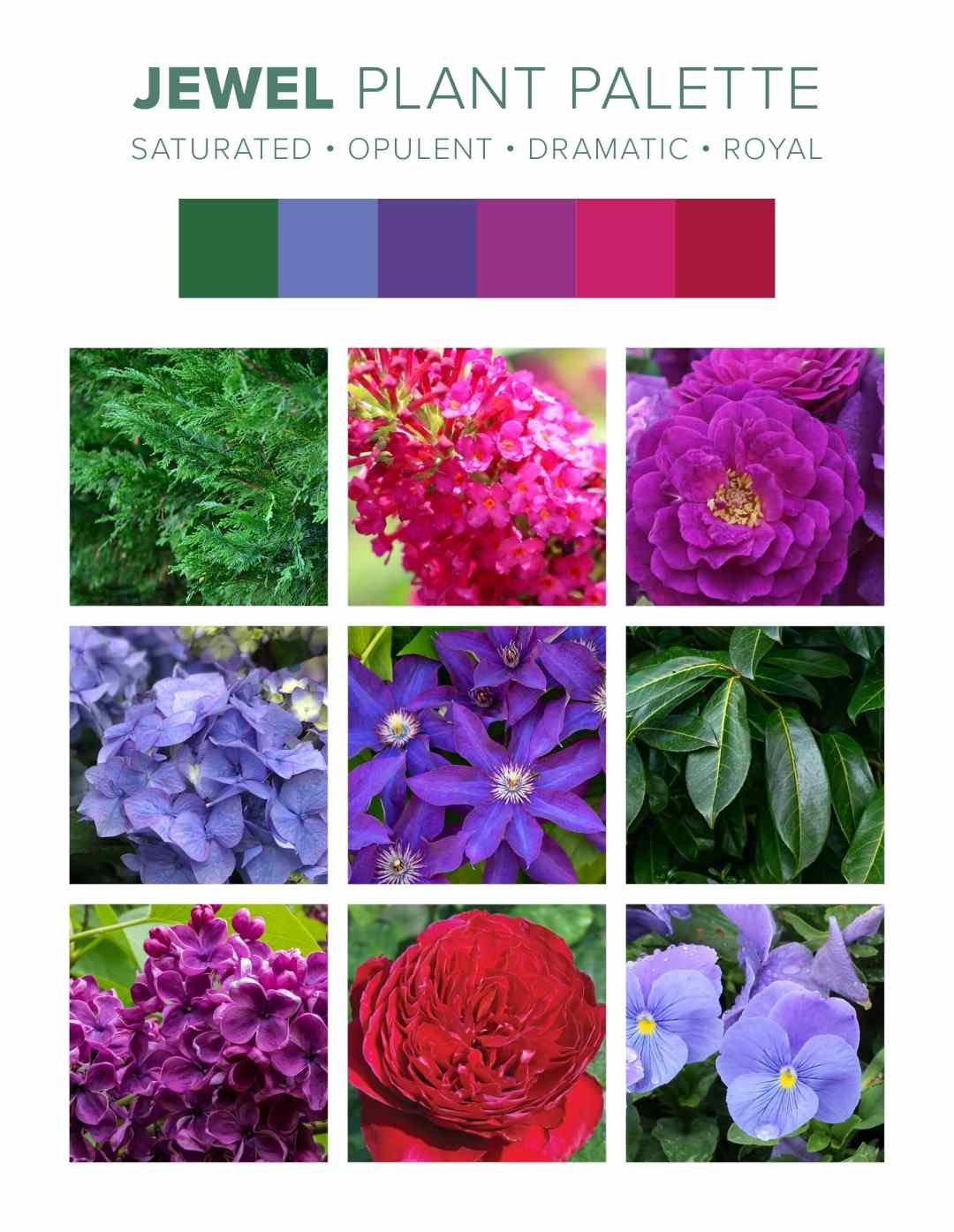 Traditional Plant Palette - Jewel
