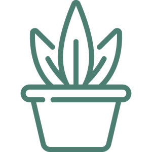 Faux Plants