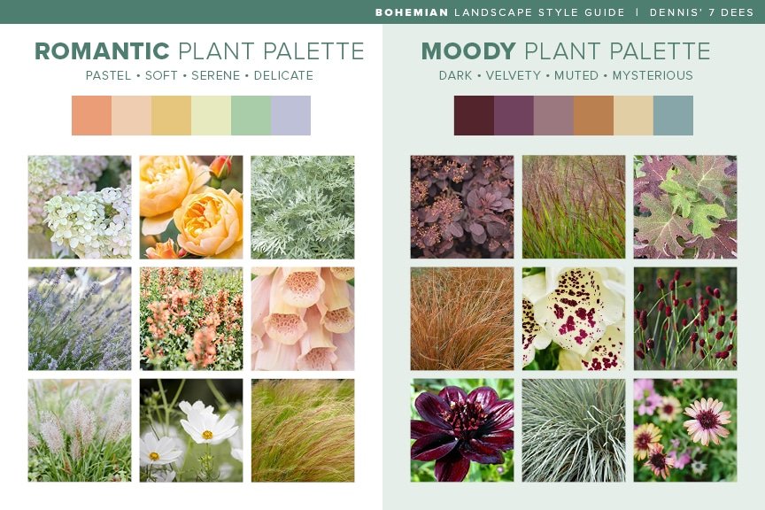 2023 D7D Design Guide - Bohemian Palettes