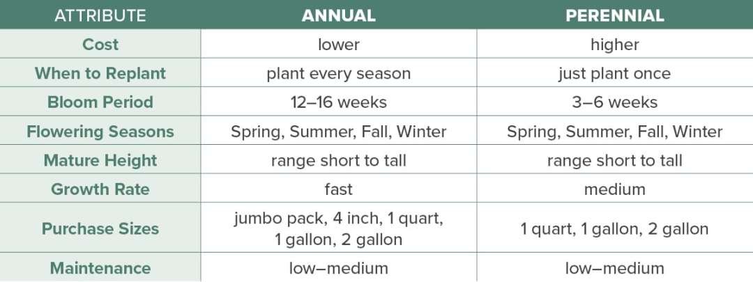 D7D-Annual-Perennial-Info-Chart