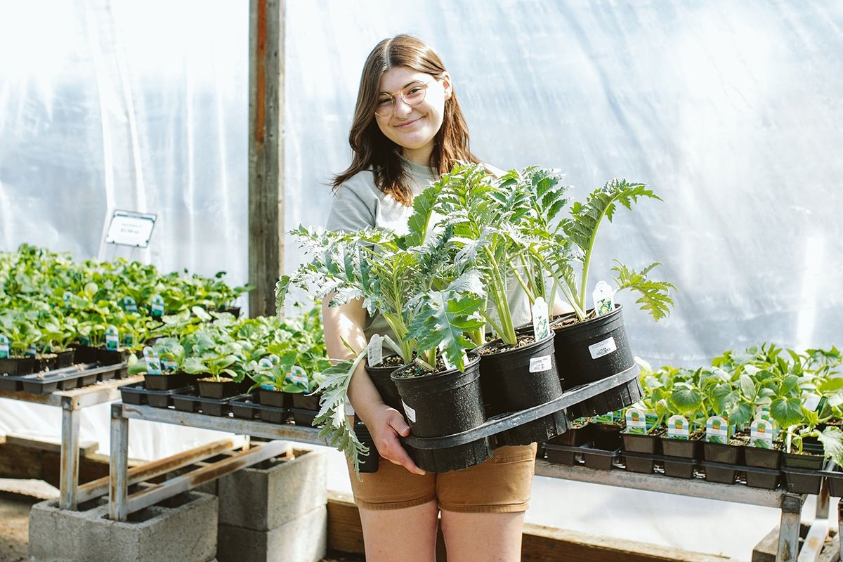 Tips for a Successful Summer Vegetable Garden