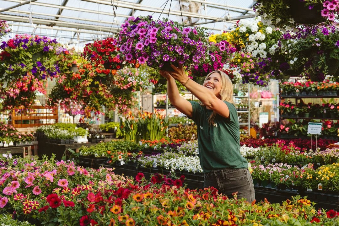 hanging basket selection