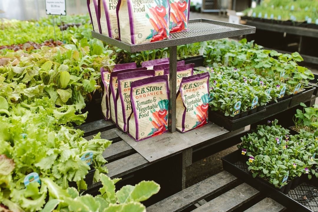 dennis7dees-vegetable-gardening-fertilizer-ebstone Tomato Tasting Showcase