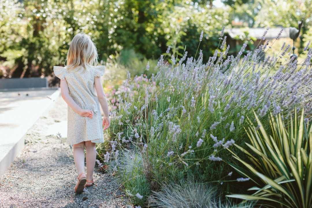 Dennis7Dees-landscape-lavender-little-girl-1 stone steps path and wood screen in landscape