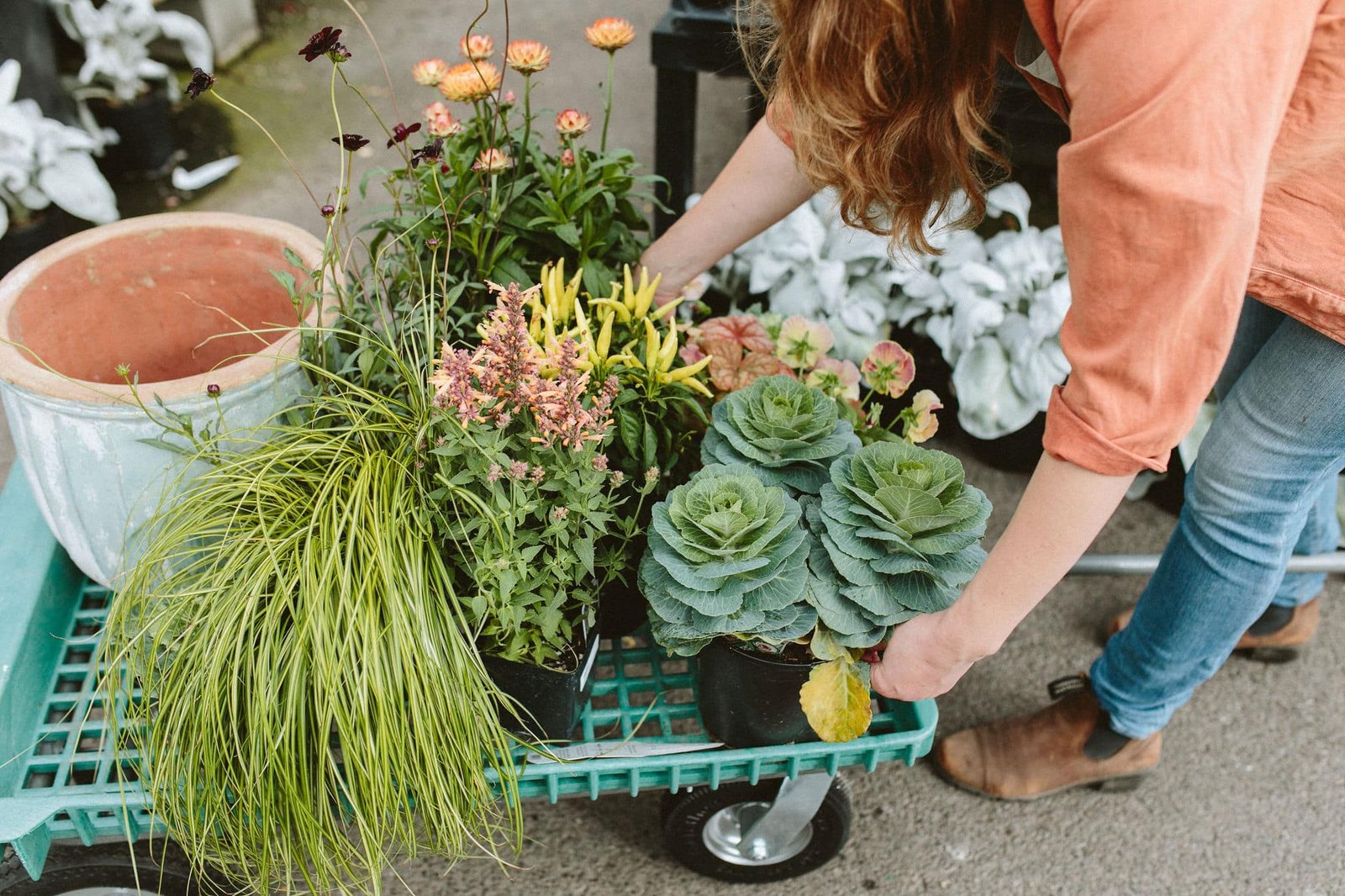 Fall Container Garden Design Tips & Plant Selection