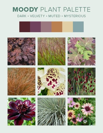 Bohemian Plant Palettes - Moody
