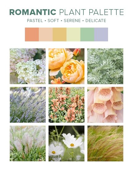Bohemian Plant Palettes - Romantic
