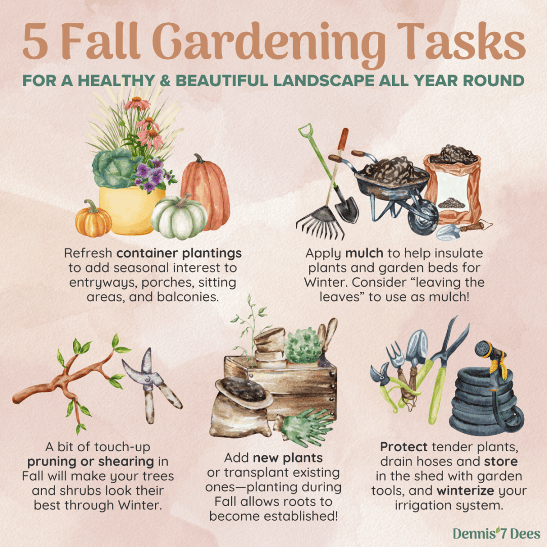 5 Fall Gardening Tasks Infographic