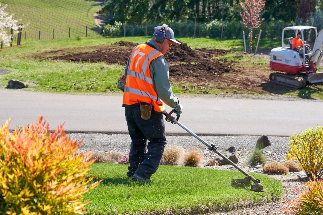 Edging a Lawn During Weekly Maintenance - 7 Dees Landscaping Crewmember uses a string trimmer on the edge of a lawn - 7 Dees Landscaping