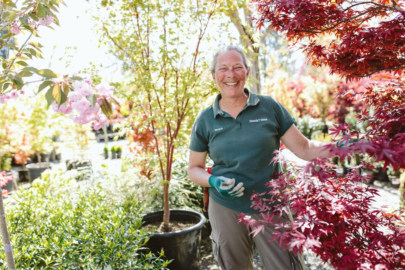 Dennis' 7 Dees Garden Center Employee With Maple Trees