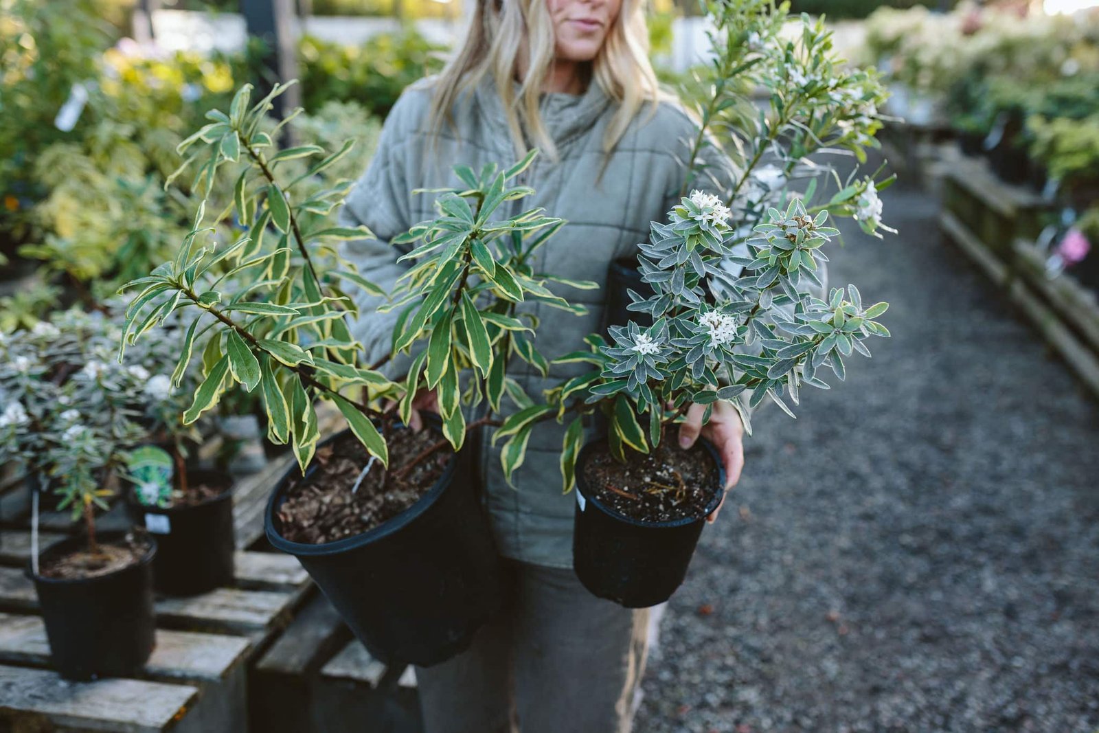 The 7 Best Plants Voted by Our Gardening Experts