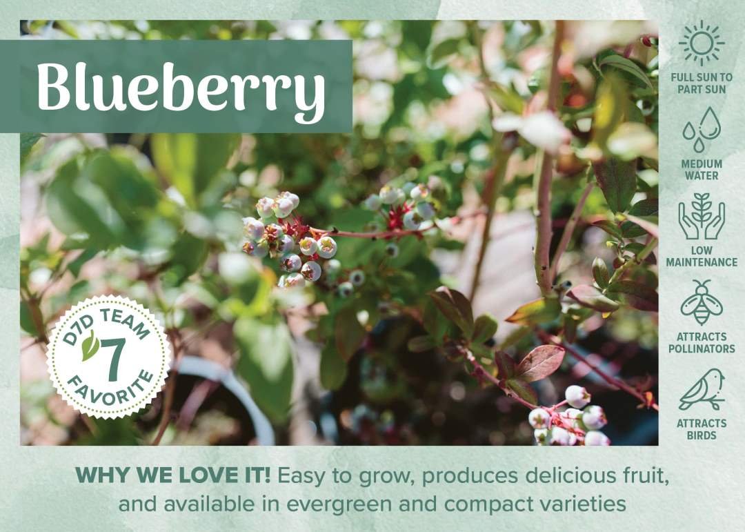 D7D Fav Plant Bench Sign & Graphic - Edible