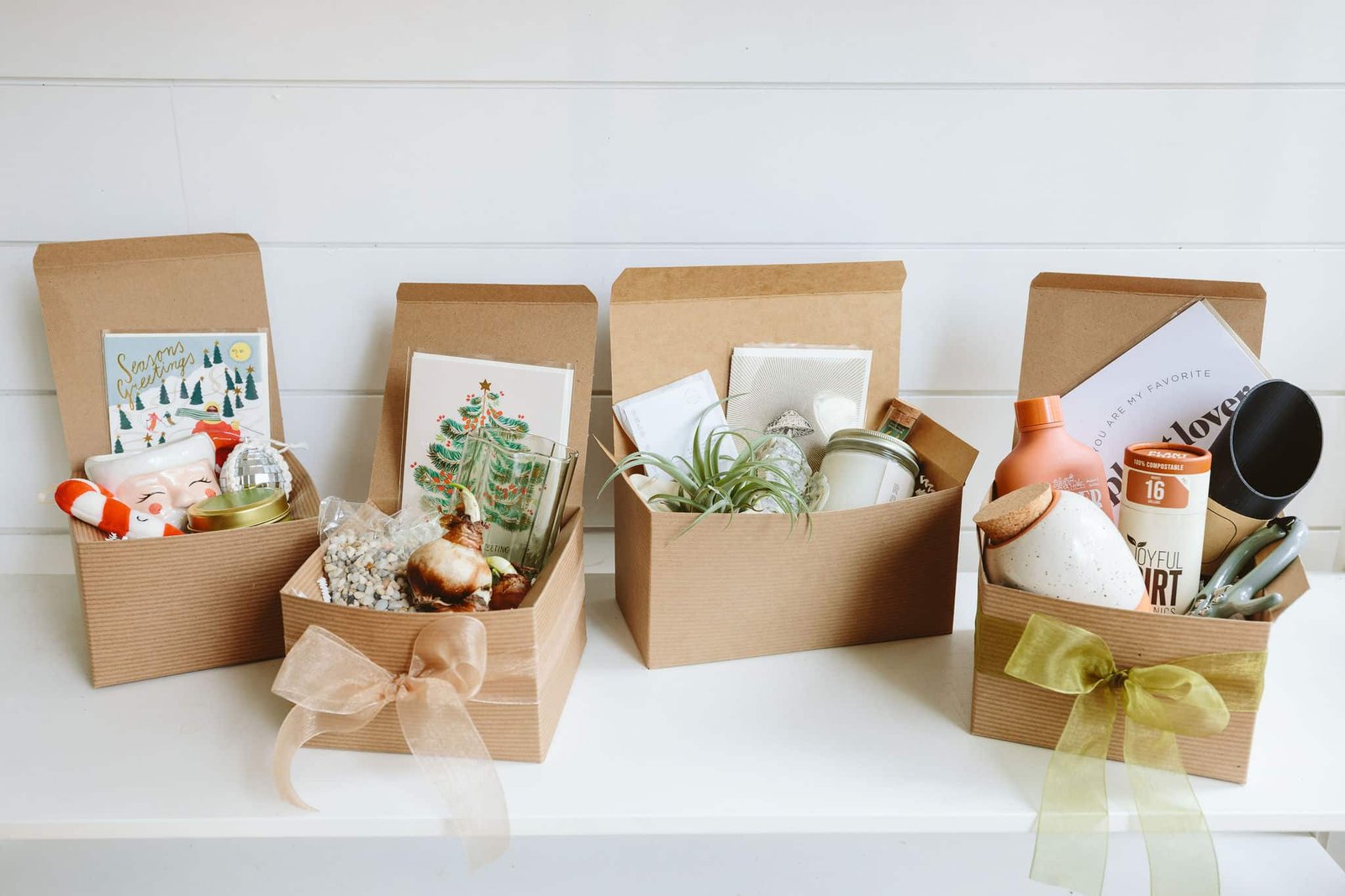 2024 Holiday Gift Guide: The 7 Best Gifts for Gardeners