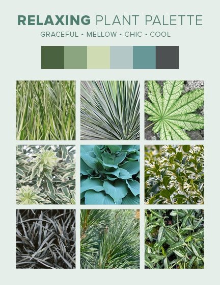 Modern Plant Palettes - Relaxing