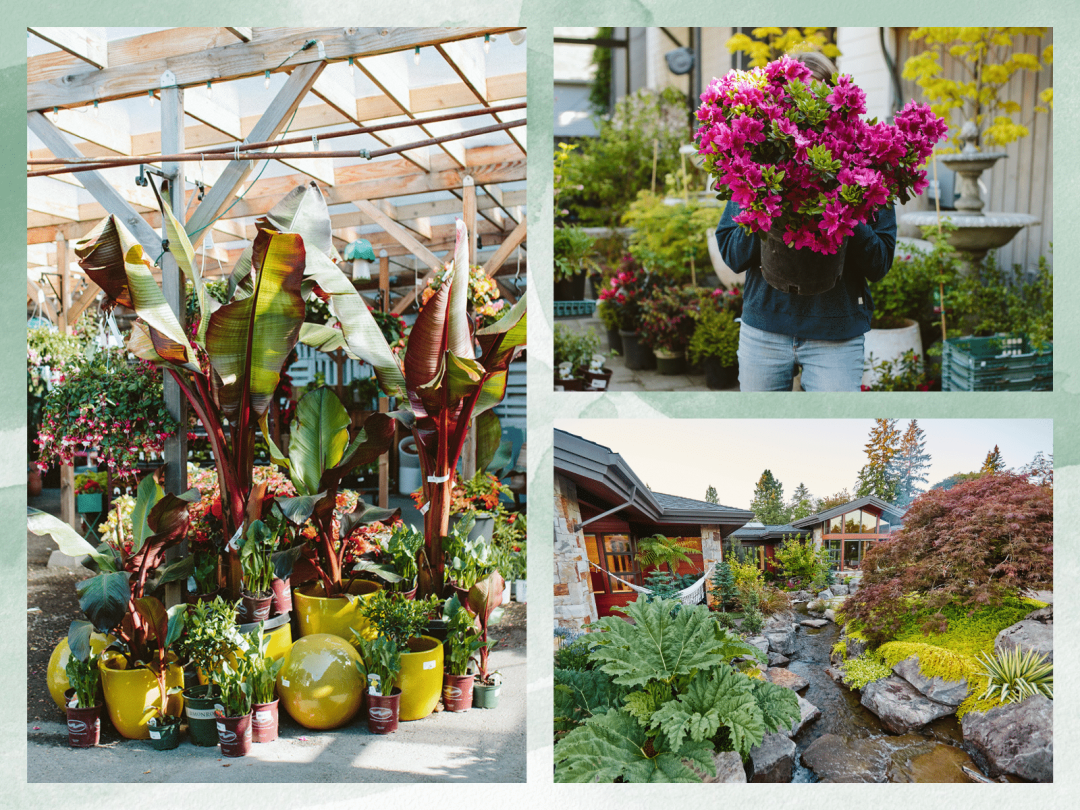 2025 Gardening Trend Collages 2A