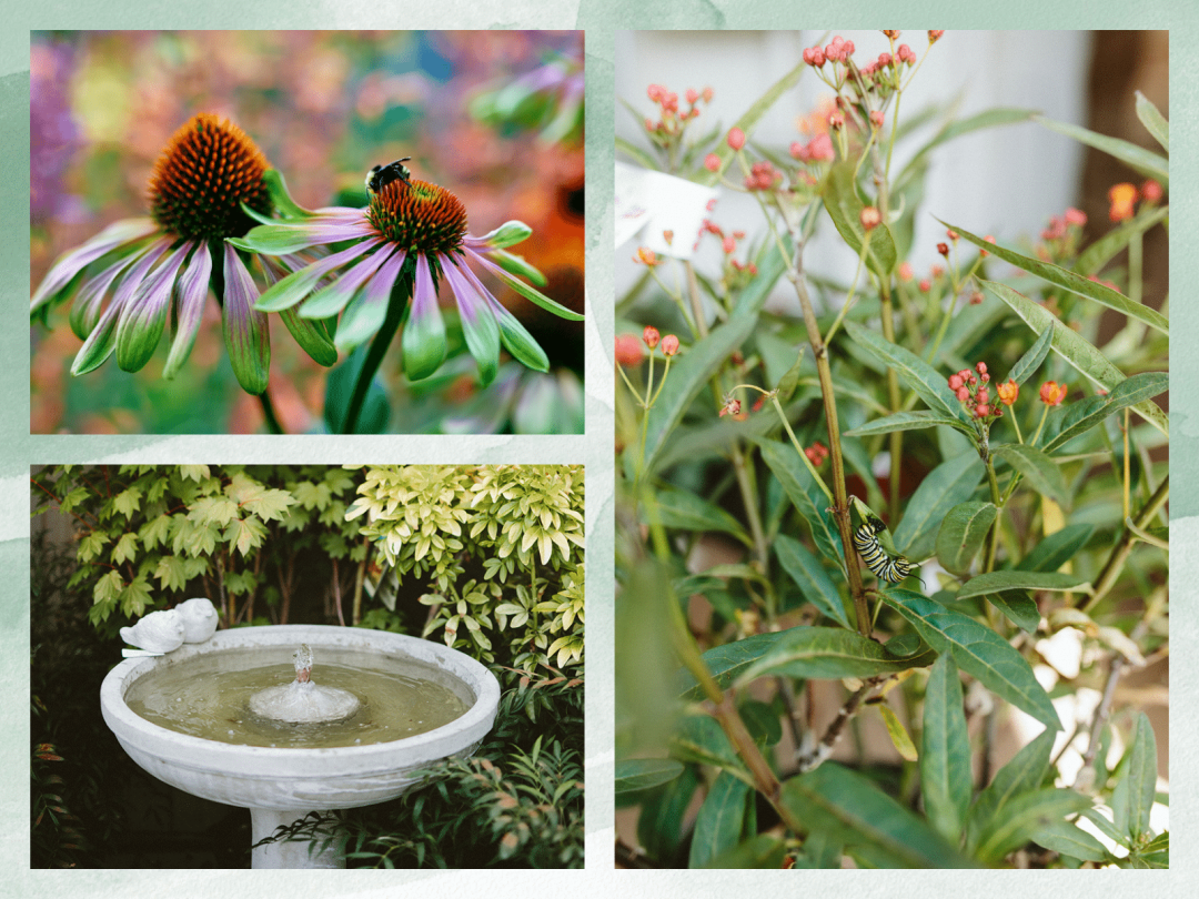 2025 Gardening Trend Collages 5