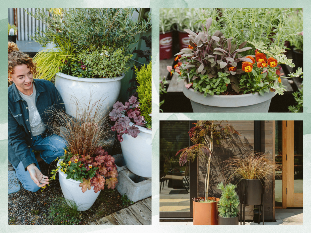 2025 Gardening Trend Collages 6