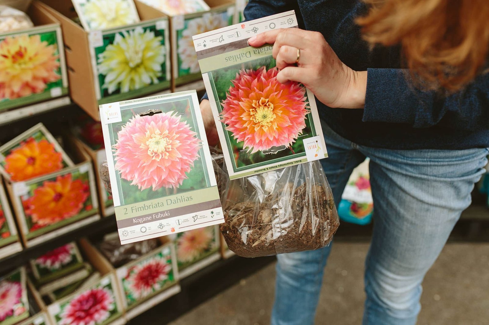 Summer-Blooming Bulbs to Plant This Spring