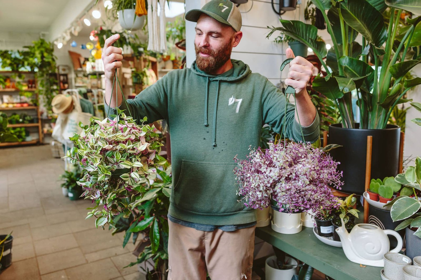 The 7 Best Houseplants for Your Home in 2026