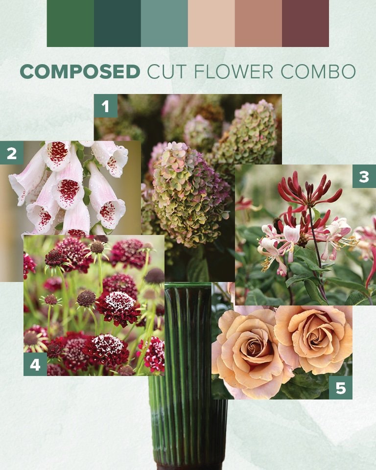 2025 Mood Boards - Cut Flowers Composed Palette