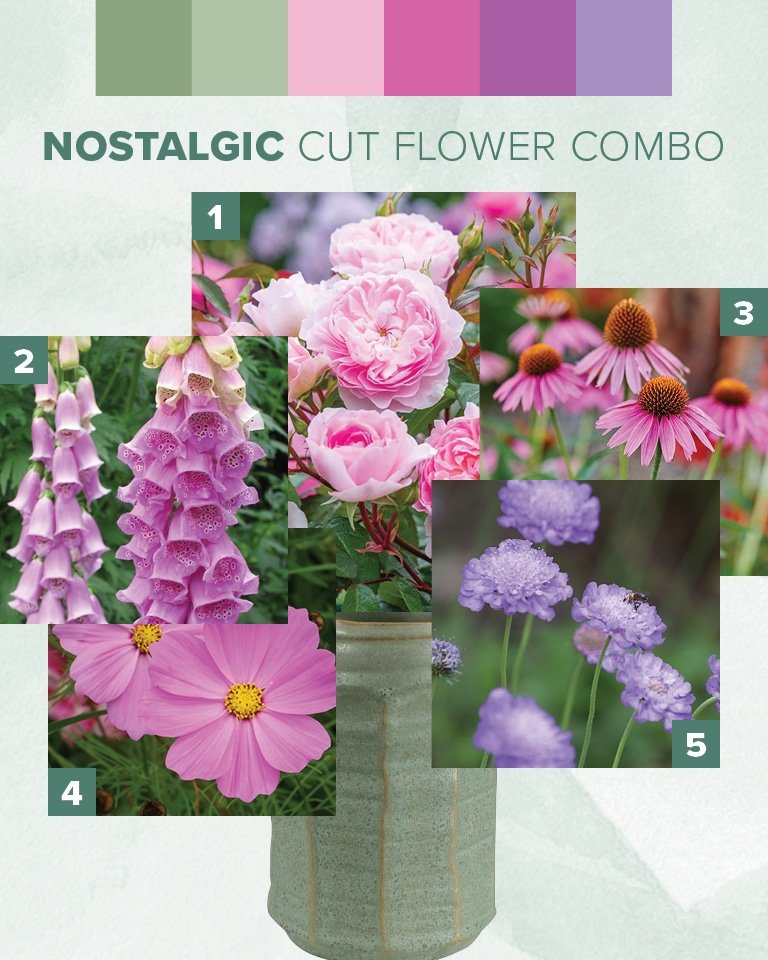 2025 Mood Boards - Cut Flowers Nostalgic Palette