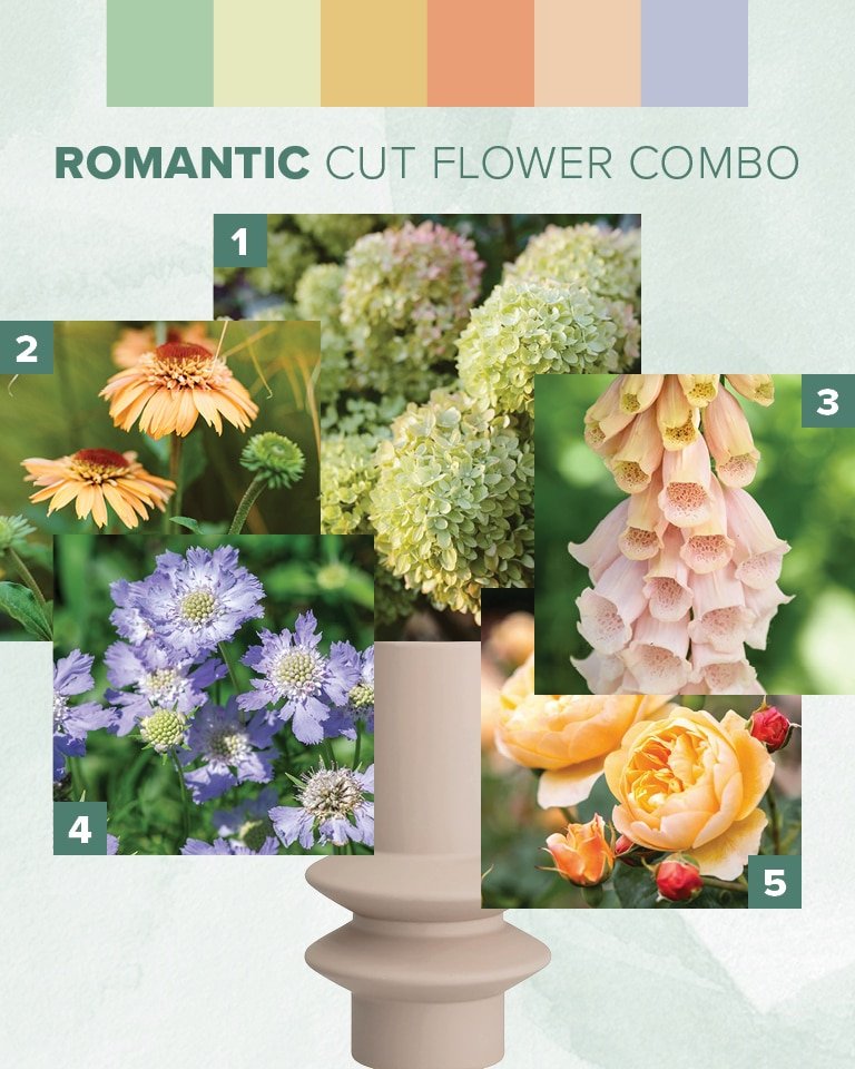 2025 Mood Boards - Cut Flowers Romantic Palette
