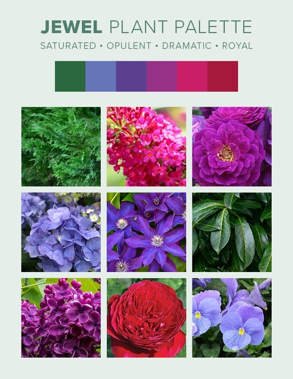 D7D Design Guide Plant Palettes - Jewel