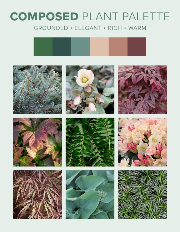 D7D Design Guide Plant Palettes - Composed Composed plant palette from pacific Northwest landscape design guide