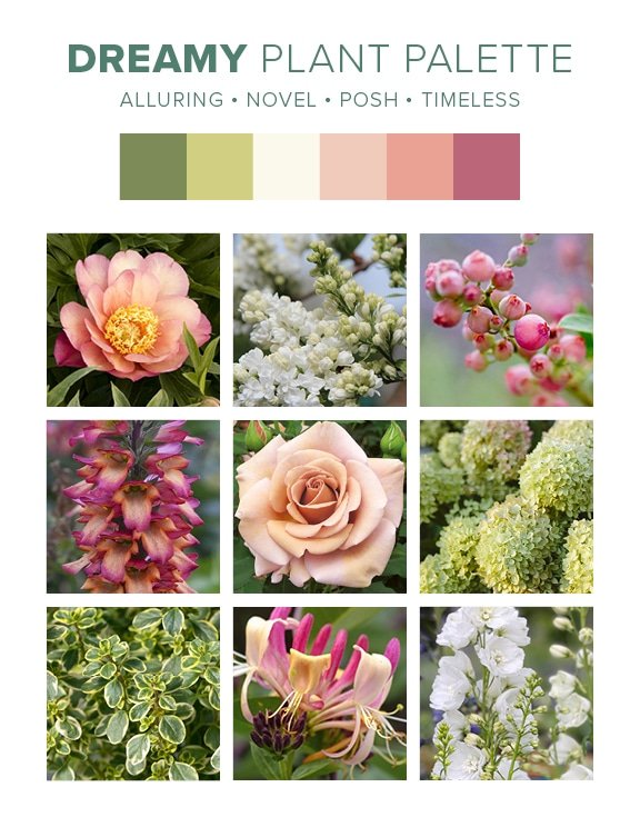 D7D Design Guide Plant Palettes - Dreamy Dreamy plant palette from Cottage landscape design guide