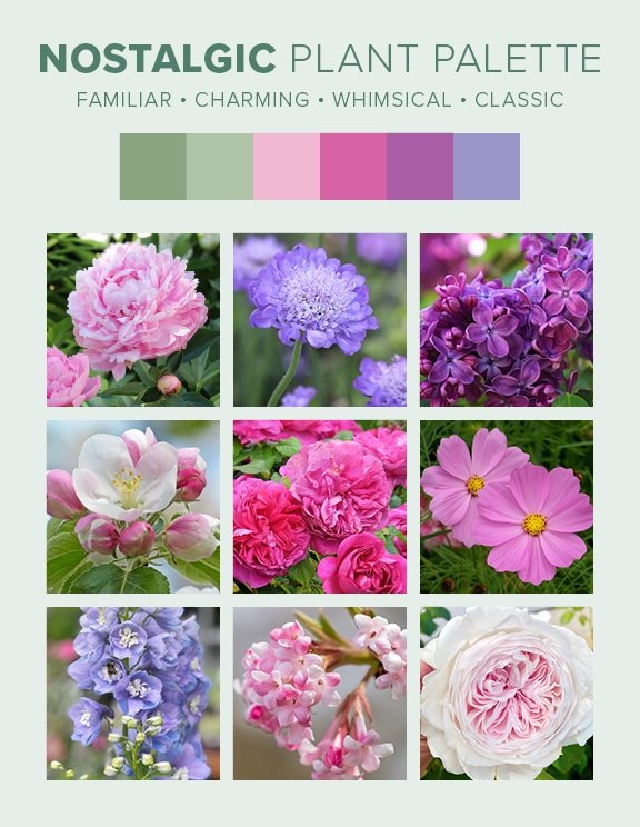 D7D Design Guide Plant Palettes - Nostalgic Nostalgic plant palette from Cottage landscape design guide